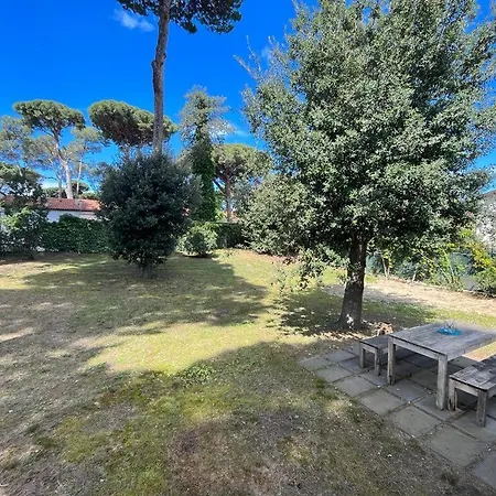 Pineta Apartman *