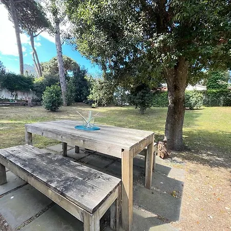 Apartman Pineta