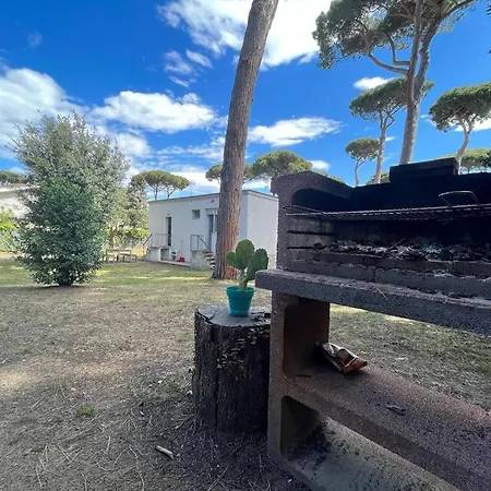 Apartman Pineta *