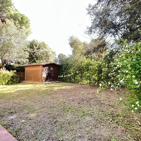 Pineta Apartman Tirrenia